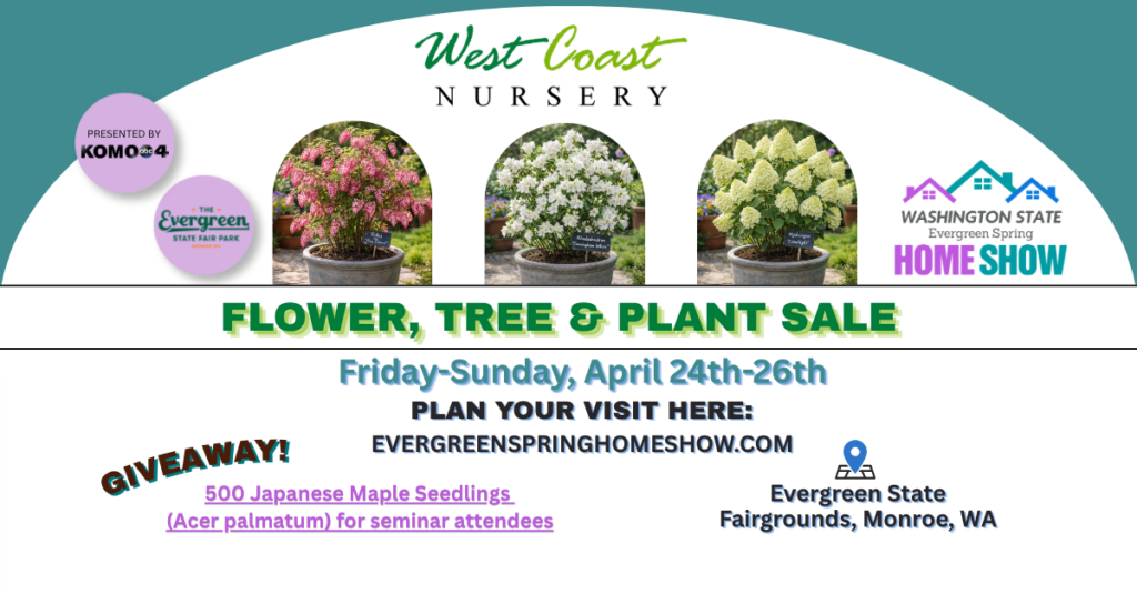 One of the Facebook and Instagram ads Steenman Associates created for the Evergreen Home Show event.